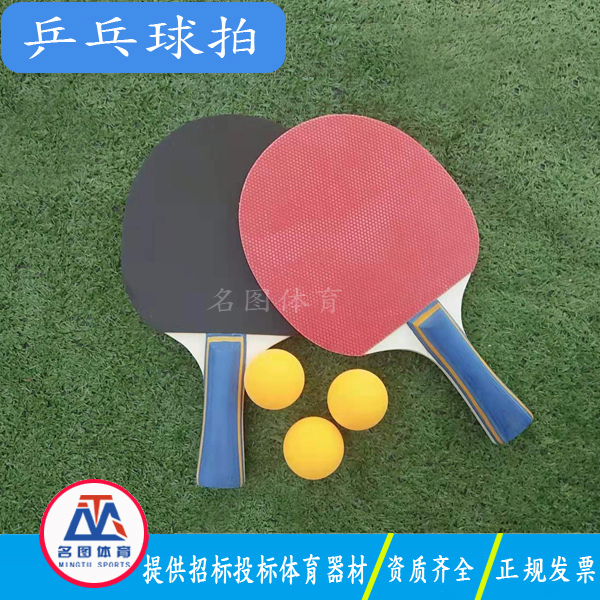 中小学体育器材有哪些球拍?
