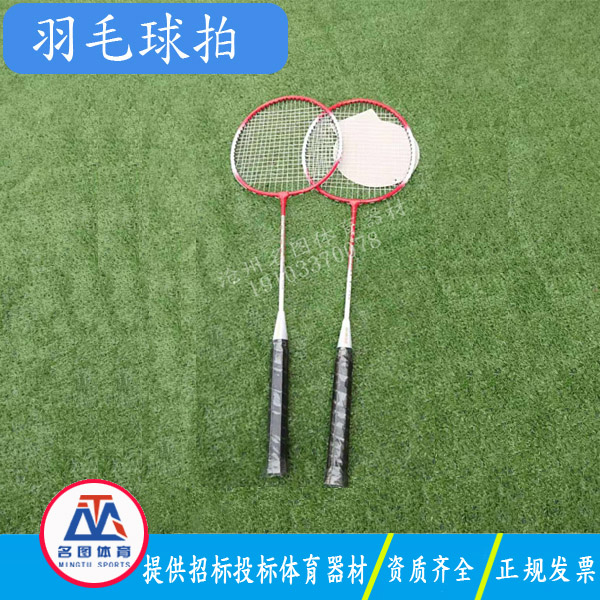 中小学体育器材有哪些球拍?(图2) 中小学体育器材有哪些球拍?(图2)