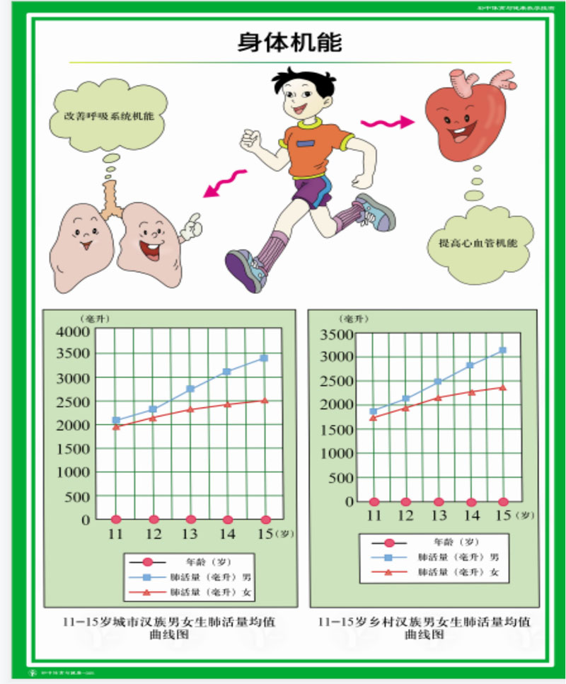 中小学体育教学挂图(图4)