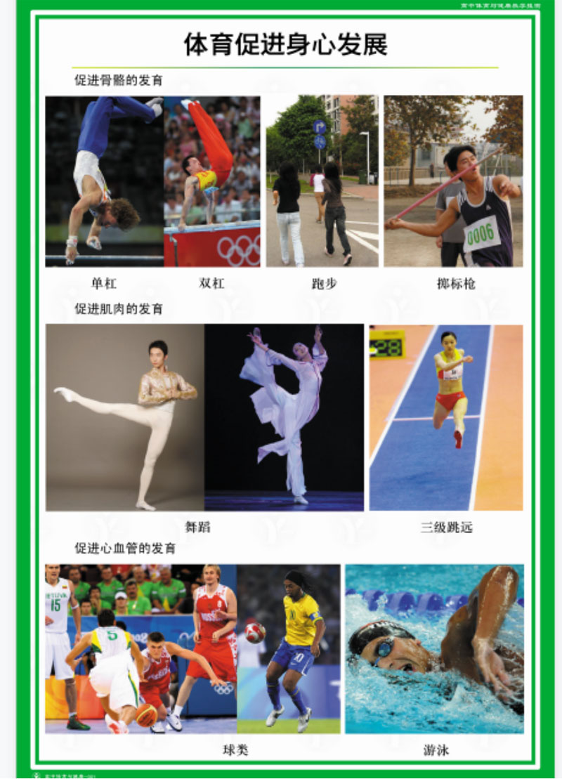 中小学体育教学挂图(图2) 中小学体育教学挂图(图2)